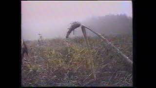 Фестиваль «Хрустальная лира 1998»